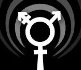 queer_feministische Lehrredaktion